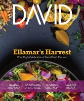 David April 16 cover