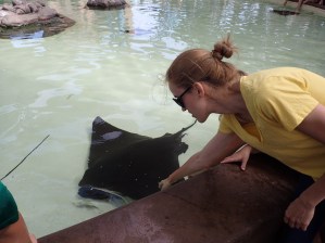 Rasa pets bat ray.jpg