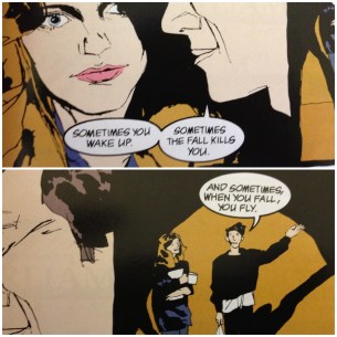 752826962-neil-gaiman-sandman-fear-of-falling